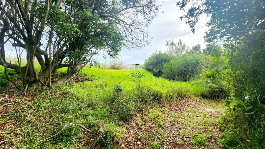 0 Bedroom Property for Sale in Oubaai Western Cape